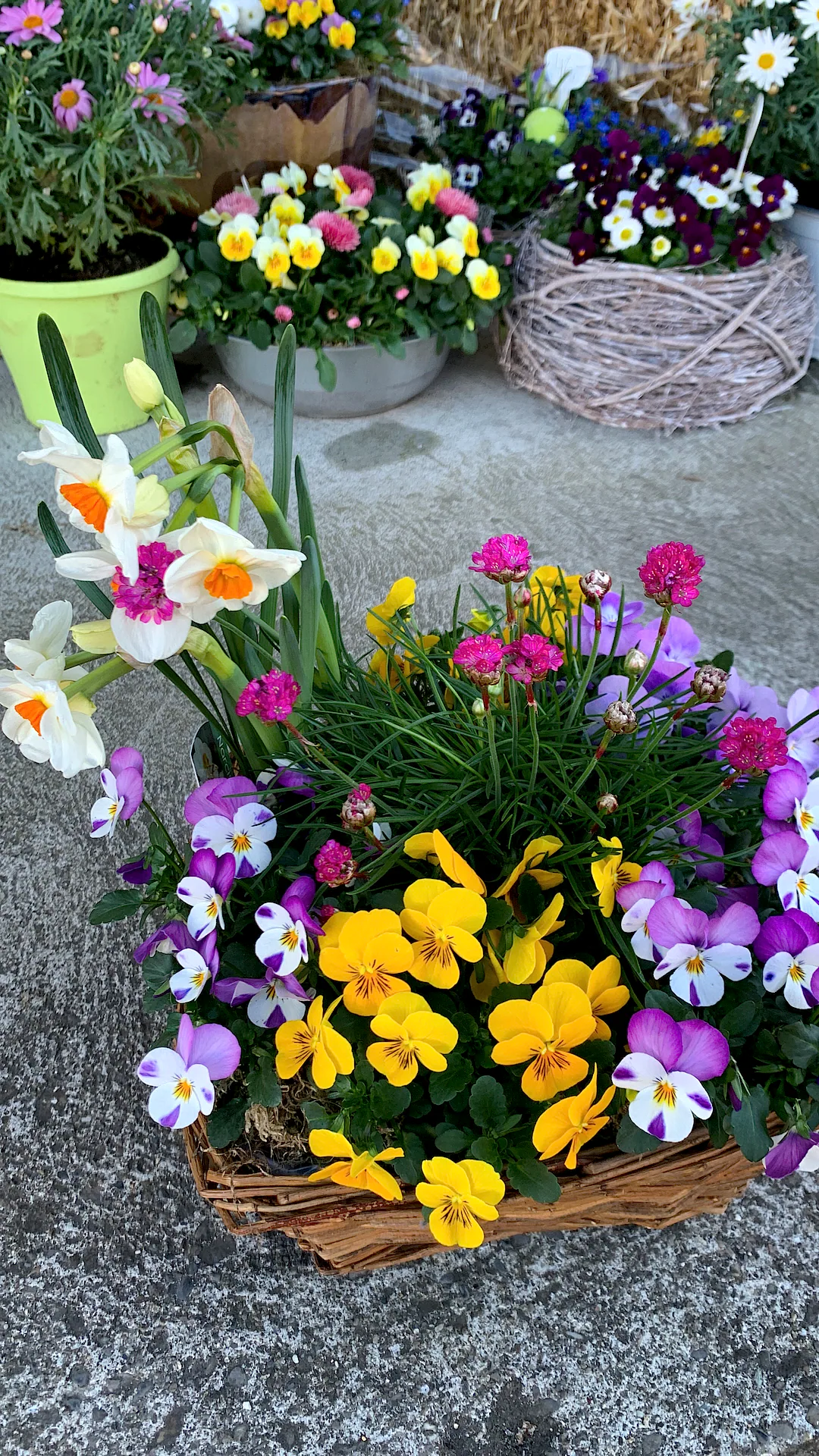 Österliches Gesteck mit Frühlingsblumen von Blumen am Lindenweg (Bild 1)